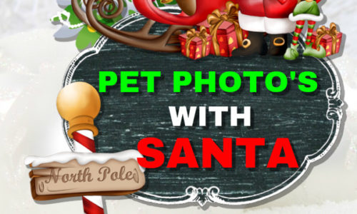 Pet Photos with Santa 2015 event poster from Coxwell Animal Clinic