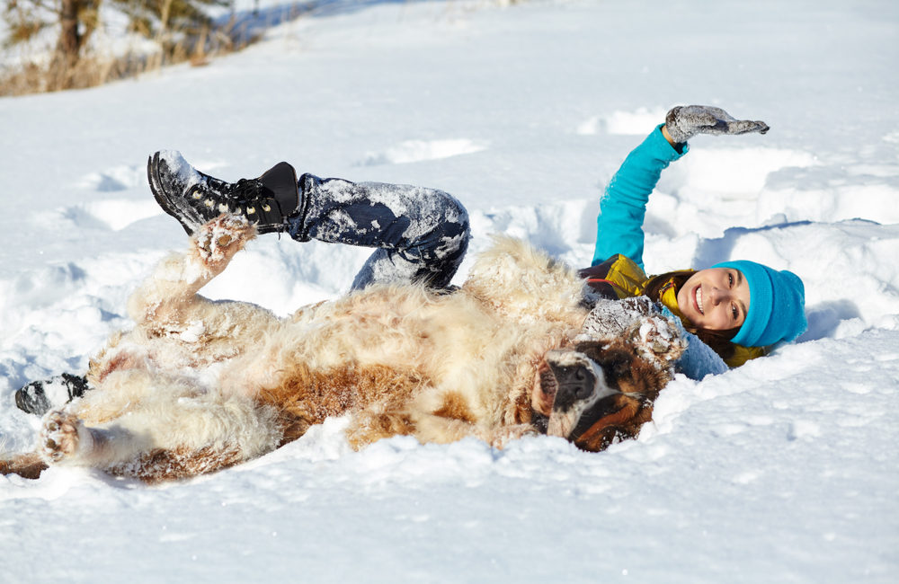 Dog and owner lying down in the snow