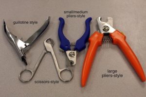 Different types of clippers for trimming dog nails