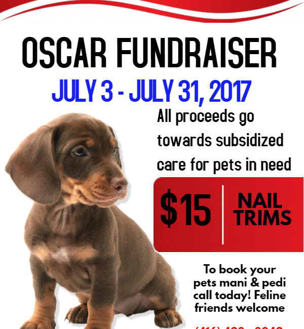 OSCAR Fundraiser July 2017 poster from Coxwell Animal Clinic