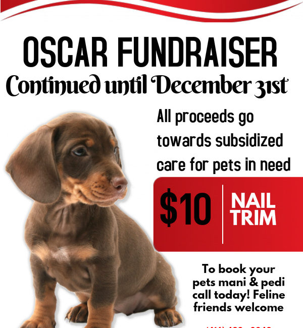 OSCAR Fundraiser December 2015 poster from Coxwell Animal Clinic