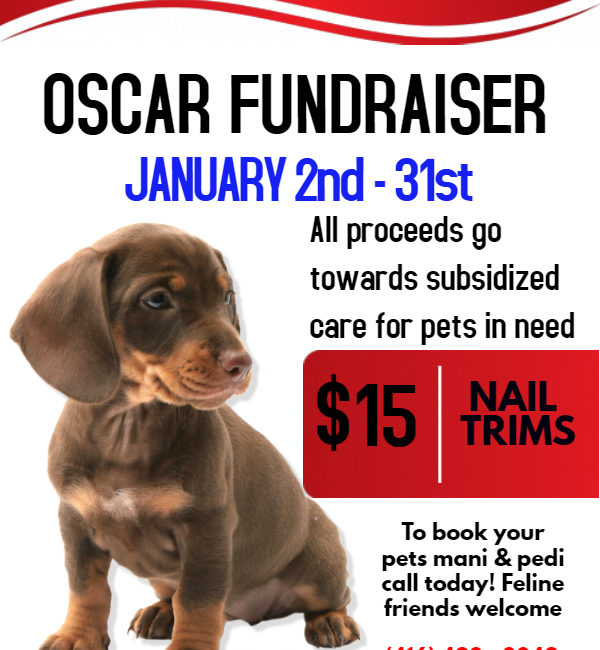 OSCAR Fundraiser January poster from Coxwell Animal Clinic