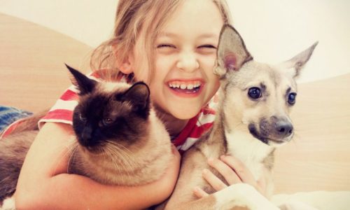 dog and cat with girl