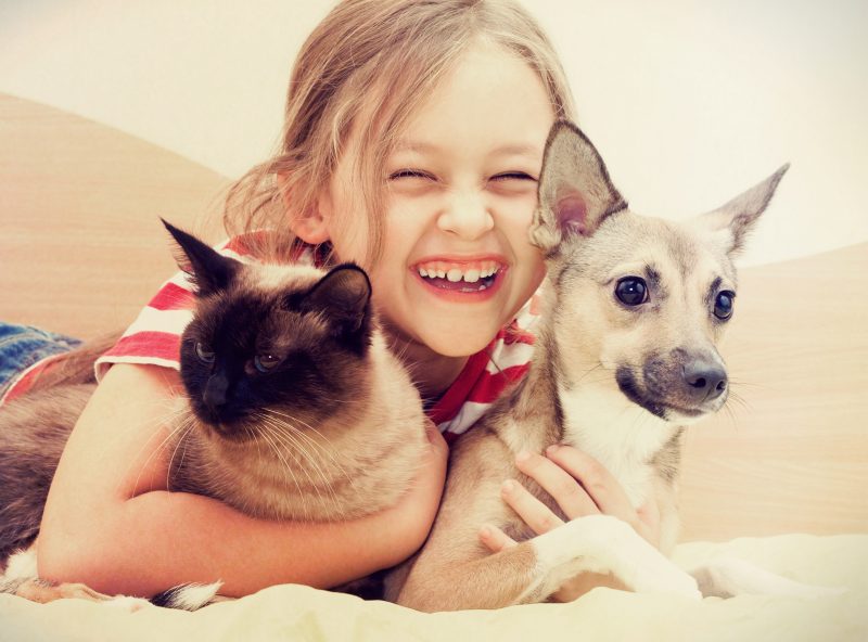 dog and cat with girl