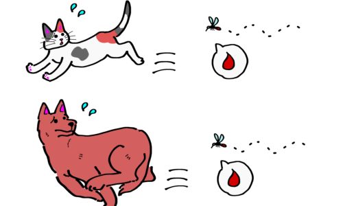 Cartoon of a cat and dog running away from a mosquito
