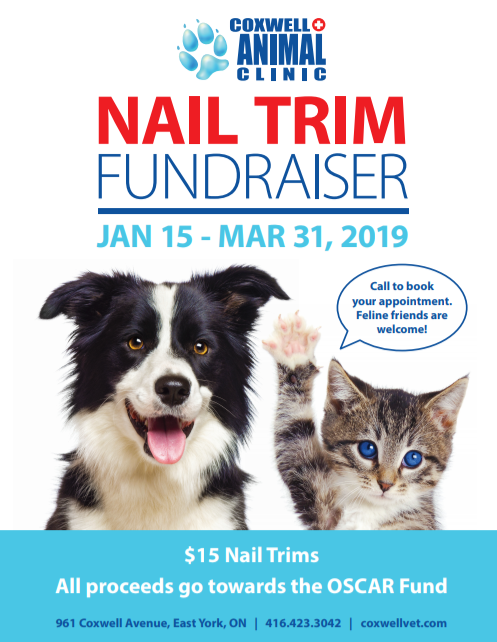 Coxwell Animal Clinic Nail Trim Fundraiser January to March 2019 poster