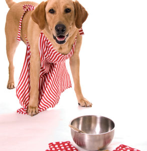 Dog wearing an apron behind baking utensils and dog treats