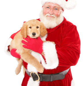 Santa holding a puppy