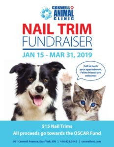 Coxwell Animal Clinic Nail Trim Fundraiser January to March 2019 poster