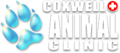 logo of coxwell animal clinic in east york ontario