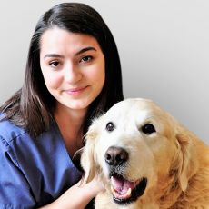 Claire Pethick Registered Veterinary Technician at Coxwell Animal Clinic
